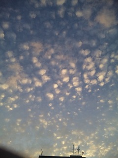 うろこ雲.jpg