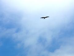 大空へ.jpg