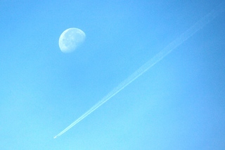 真昼の彗星.jpg
