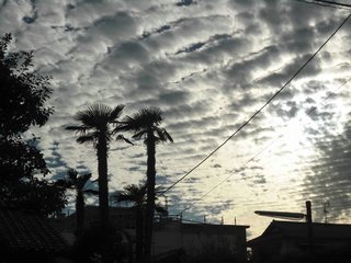 秋の暮.jpg