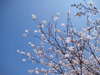 青い空.jpg