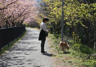 Naru-Baru.jpg